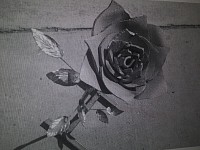 Handcrafted metal &welded Rose